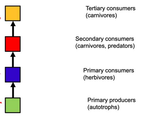 Ecol Test Ecosystem Ecology Flashcards Quizlet