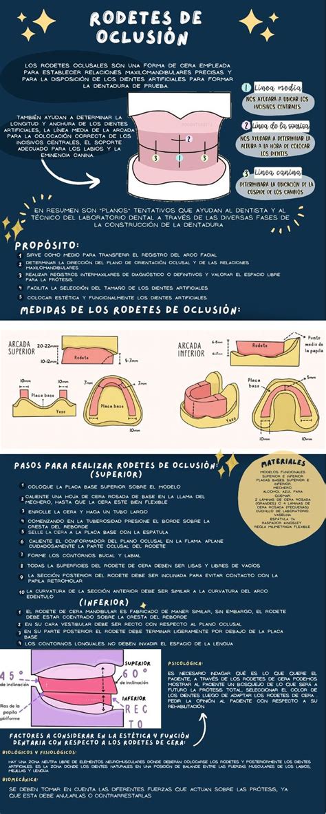 Placa base y rodete de oclusión uDocz en 2024 Anatomie dentaire