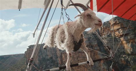 Flying Goats Virgin Media S Latest Wifi Guarantee Campaign