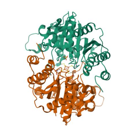 RCSB PDB 6NZJ Structural Analysis Of A Nitrogenase Iron Protein From