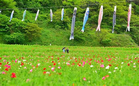 Everything you wanted to know about Golden Week in Japan | Stripes Japan