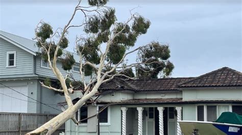 Sydney Storms Thousands Still Without Power Christmas Lunch Binned