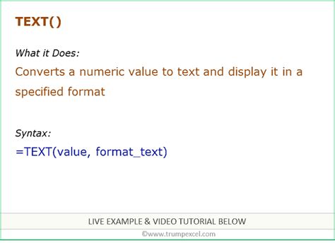 How To Use Excel Text Function Examples Video