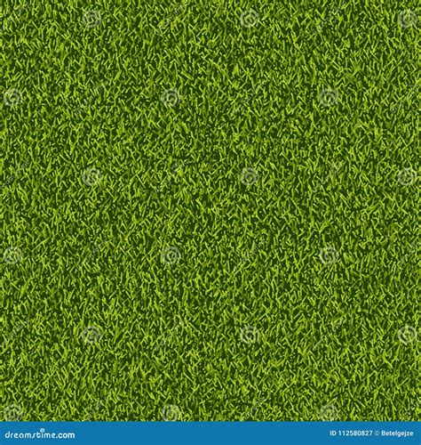 Vector Green Grass Lawn Seamless Texture Spring Or Summer Nature Background Field Or Meadow