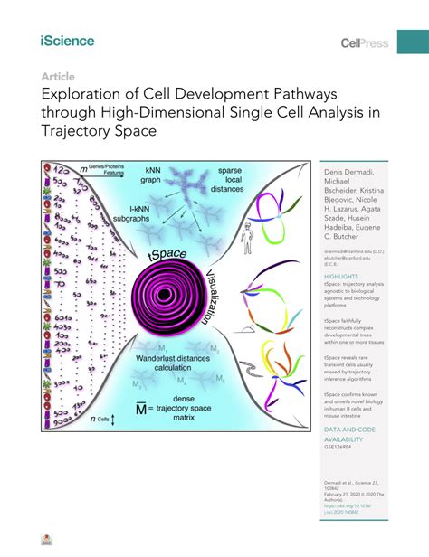 PDF Exploration Of Cell Development Pathways Through High Dimensional