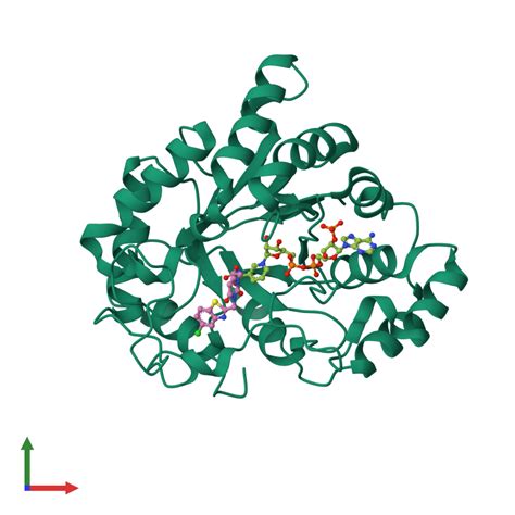 Pdb Pdh Gallery Protein Data Bank In Europe Pdbe Embl Ebi