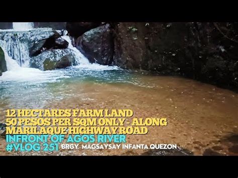 Vlog251 50 PESOS PER SQM ONLY 12 HECTARES FARM LAND ALONG NATIONAL