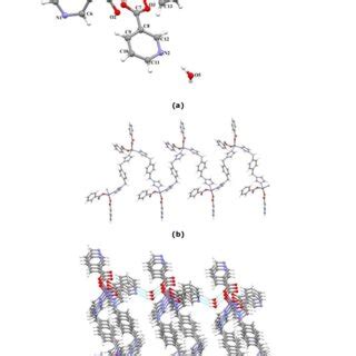 A Coordination Environment Of The Zn II Ion In 1 B View Of The 1D