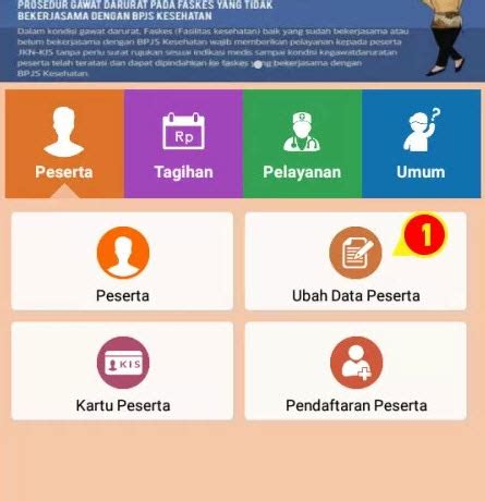 Perubahan Data Bpjs Kesehatan Ilustrasi