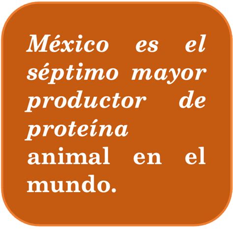 Hacia Una Ganadería Sostenible En México Consejo Mexicano De La Carne