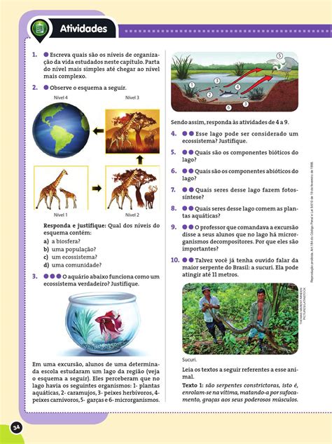 Atividades Sobre Ecossistema Ano Revoeduca