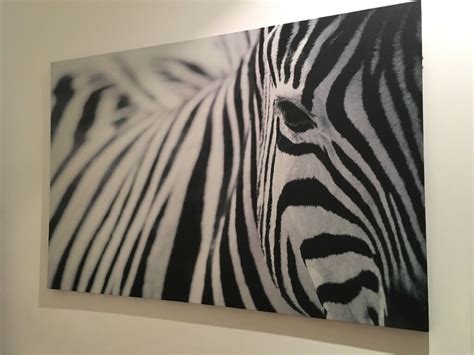 IKEA zebra picture canvas | in Brixton, London | Gumtree