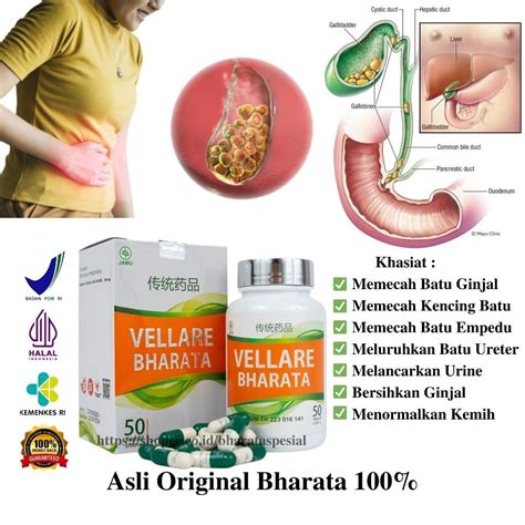 Jual Vellare Bharata Obat Penghancur Batu Empedu Batu Ginjal Kencing