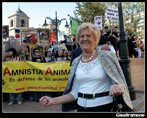 FOTOS Zaragoza Antitaurina Anti Bullfighting Fiestas Del Pilar