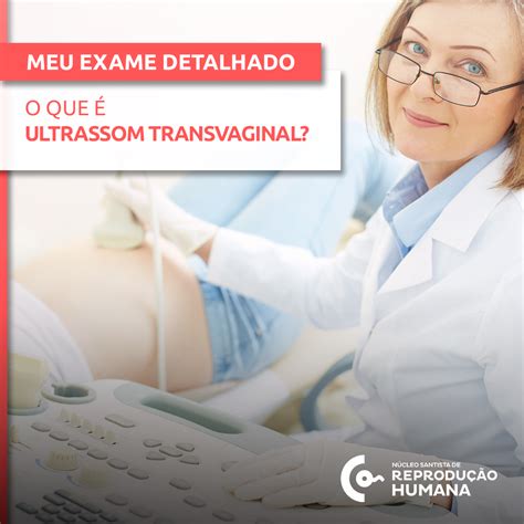 O Que é Ultrassom Transvaginal Núcleo Santista De Reprodução Humana