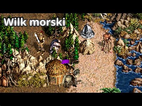 Zagrajmy W Heroes Ostrze Armagedonu Wilk Morski Youtube