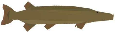 pike official fisch wiki
