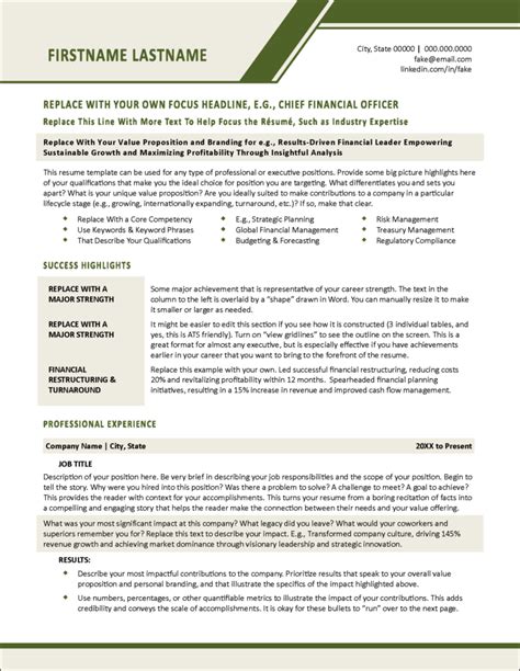 Professional Executive Resume Template Distinctive Templates