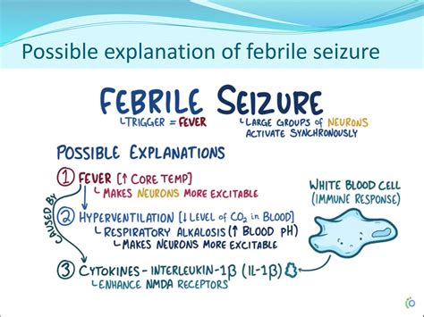 Febrile Seizure Pediatrics Ppt