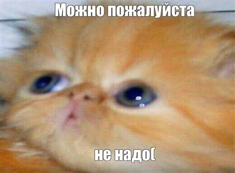 Картинки с надписью "Пожалуйста!" (39 фото)
