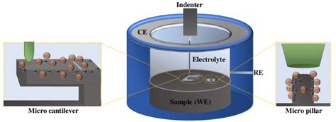 Schematic Representation Of The In Situ Electrochemical Three Electrode