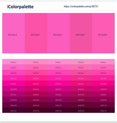 2 Latest Color Schemes with Hot Pink And Brilliant Rose Color tone combinations | 2024 ...