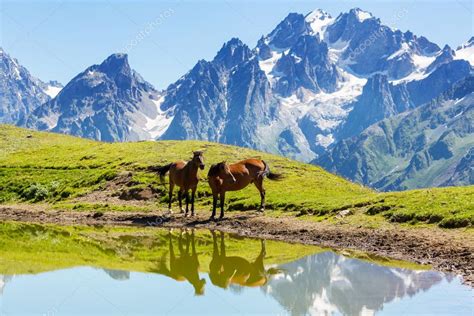 Horses in mountains Stock Photo by ©kamchatka 51459809