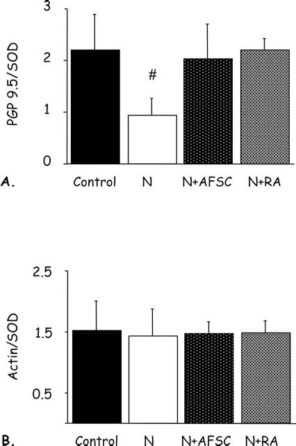 Pgp 9 5 And α Actin Levels Normalized To Sod A Protein Gene Product Download Scientific