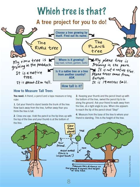 Use This Two Page Flow Chart To Help You Learn More About The Trees