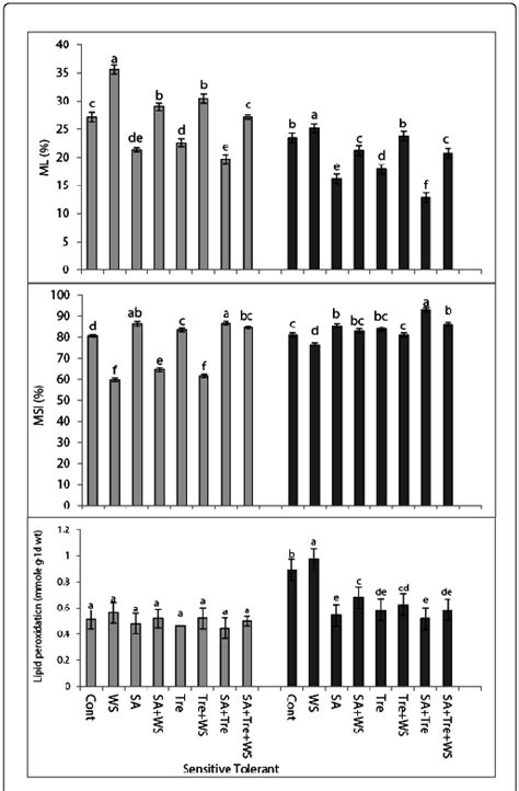 Effect Of Salicylic Acid Trehalose And Their Interaction On Lipid