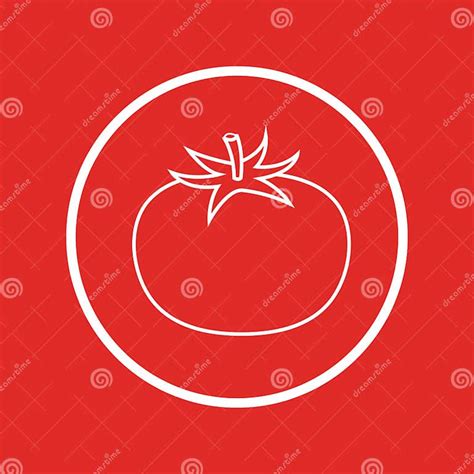 Logotipo Del Doodle De Tomate Vector De Tomate Tomate Sobre Fondo Blanco Ilustración Del