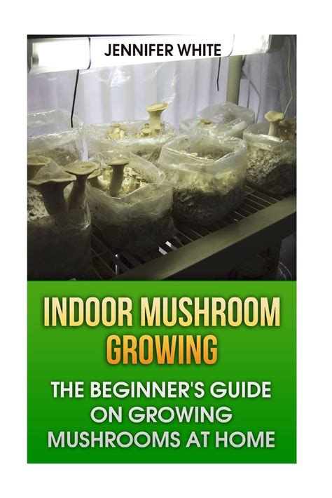 Indoor Mushroom Growing The Beginner S Guide On Growing Mushrooms At