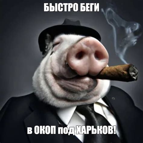 Создать мем морда свиньи свинья свинья крутая Картинки Meme