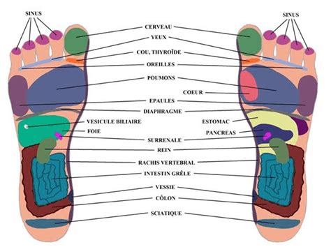 Comment Pratiquer La Réflexologie Plantaire En 7 étapes Blog Beaute