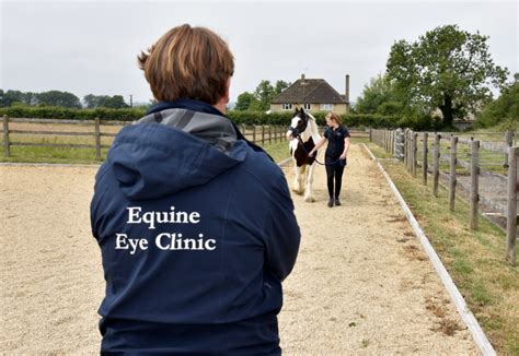 ROWE EQUINE - Equine Veterinary Practice