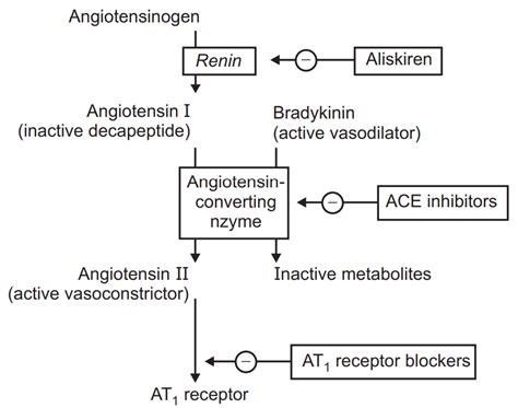 Antihypertensive Drugs Pharmacology