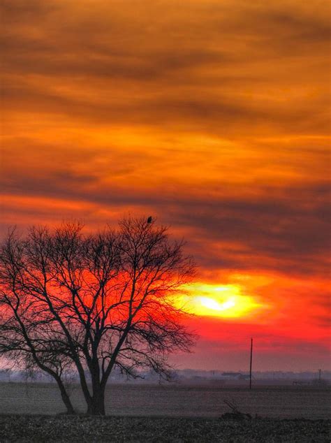 A Hawk Watches The Sunset Photograph By Jackie Novak Fine Art America