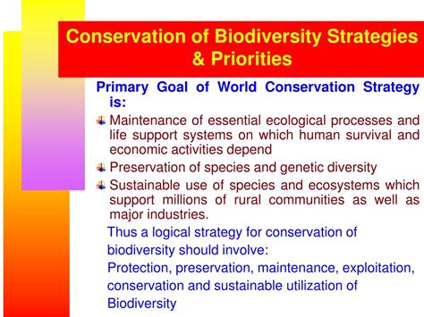 Ppt Evolution Of Biodiversity And Strategy For Its Conservation And Sustainable Utilization