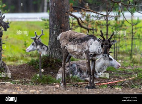 Human Settlements Hi Res Stock Photography And Images Alamy