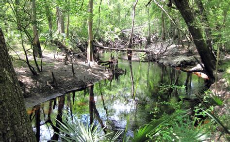 Alachua County Land Conservation Board Vacancies - Alachua Chronicle