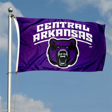 Central Arkansas Bears Wordmark Flag - State Street Products