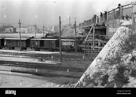 Warszawa 1946 11 Odbudowywany Po Zniszczeniach Wojennych Wiadukt Nad