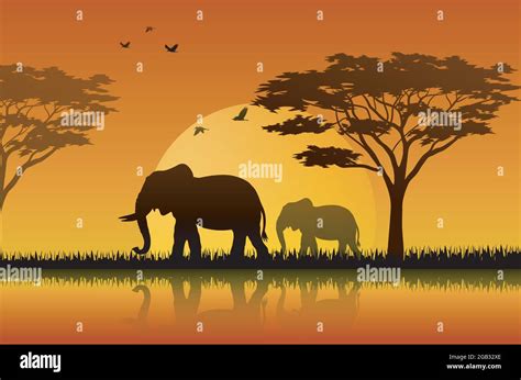 Elephant silhouette at sunset illustration Stock Vector Image & Art - Alamy