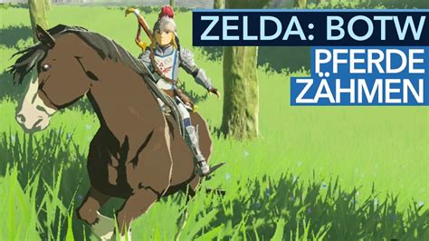 The Legend Of Zelda Breath Of The Wild Tipp Video Pferd Bekommen