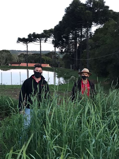 Acad Micos De Agronomia Avaliam O Desempenho De Culturas De Inverno Na