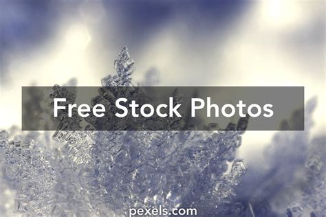 Snow Flake Photos, Download The BEST Free Snow Flake Stock Photos & HD ...