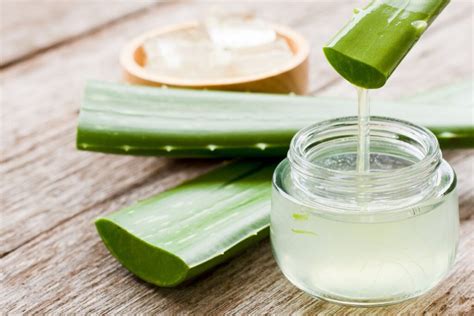 Quel Avis Sur Laloe Vera Pour Prendre Soin De Ses Tatouages