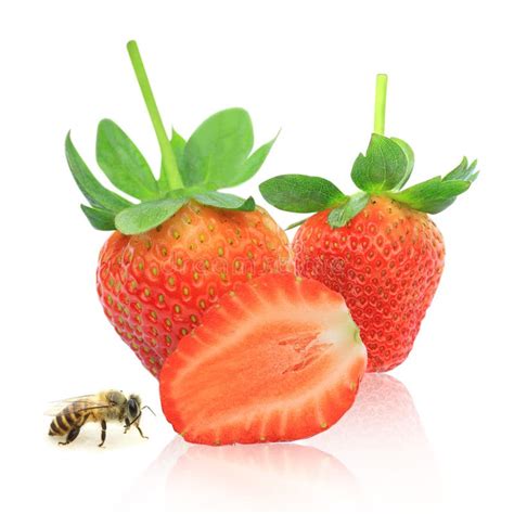 Strawberry Berry With Green Leaf And Honey Bee Stock Image Image Of