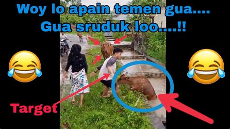 Tahan Tawa Menit Kumpulan Vidio Lucu Cocok Buat Santay Youtube