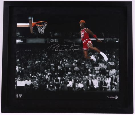 Michael Jordan Signature Dunk